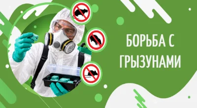 Дератизация